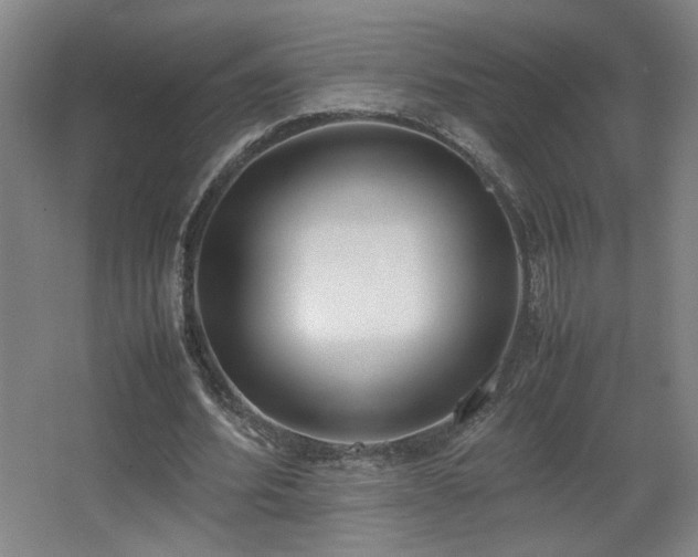 X0000067340580200603311128
