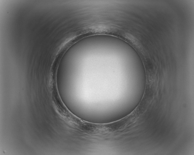 X0000067340583200603311128