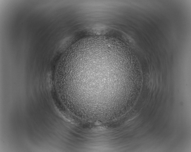 X0000067340594200603311128