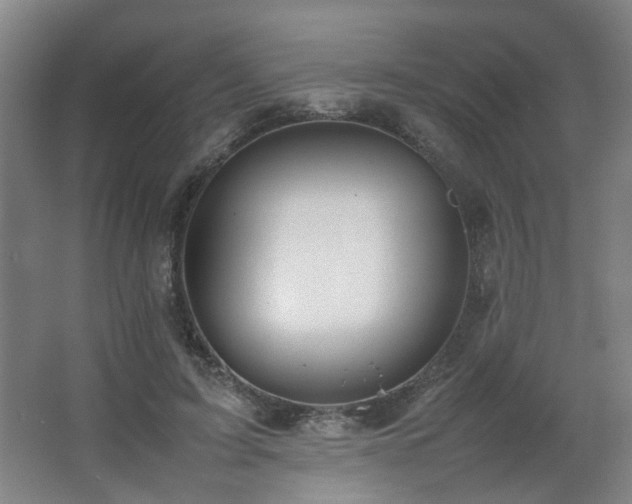 X0000067340595200603311128
