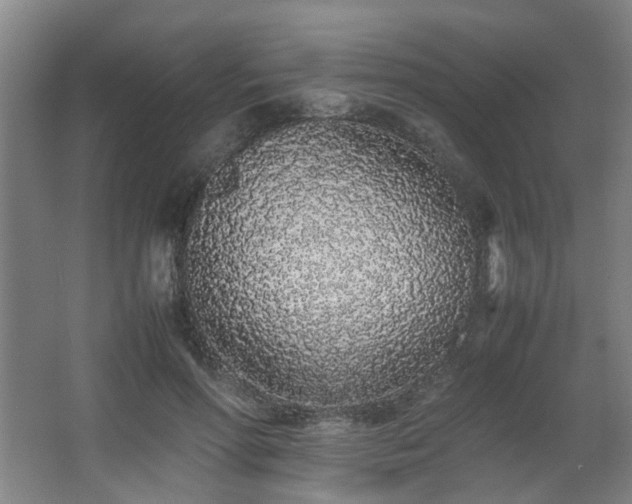 X0000067340598200603311128