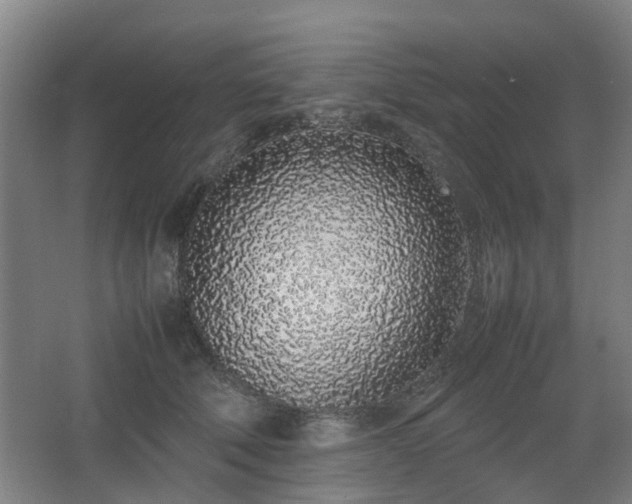 X0000067340610200603311128