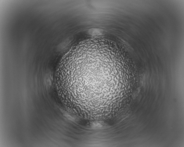 X0000067340618200603311128
