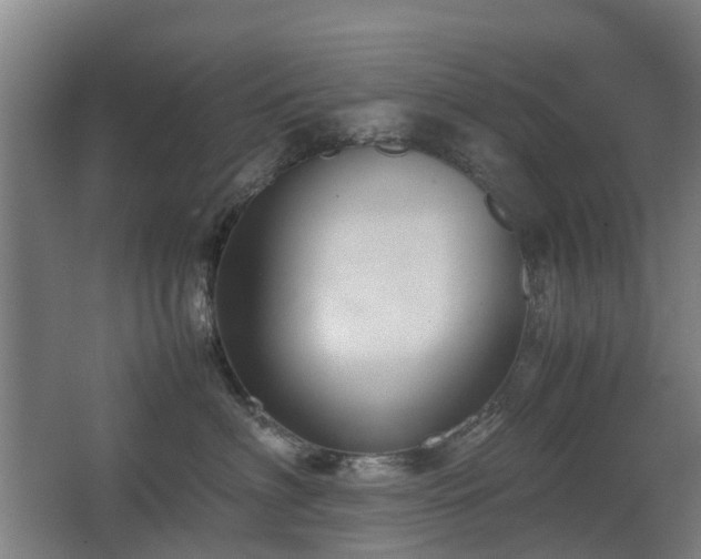 X0000067340622200603311128