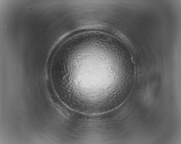 X0000067340628200603311127