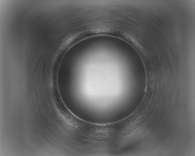 X0000067340631200603311127