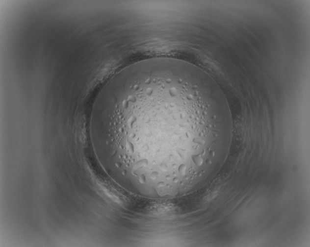 X0000067340642200603311127