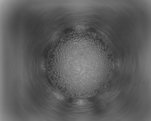 X0000067340663200603311127