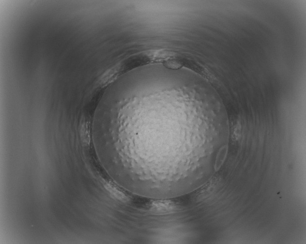 X0000067340666200603311127