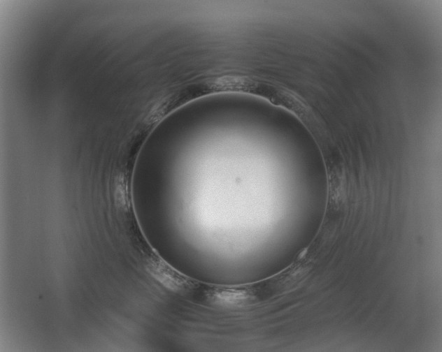 X0000067340669200603311127