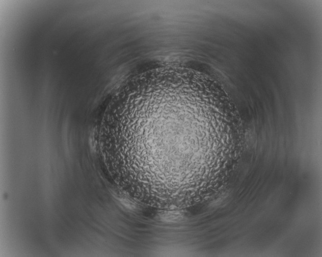 X0000067340671200603311128