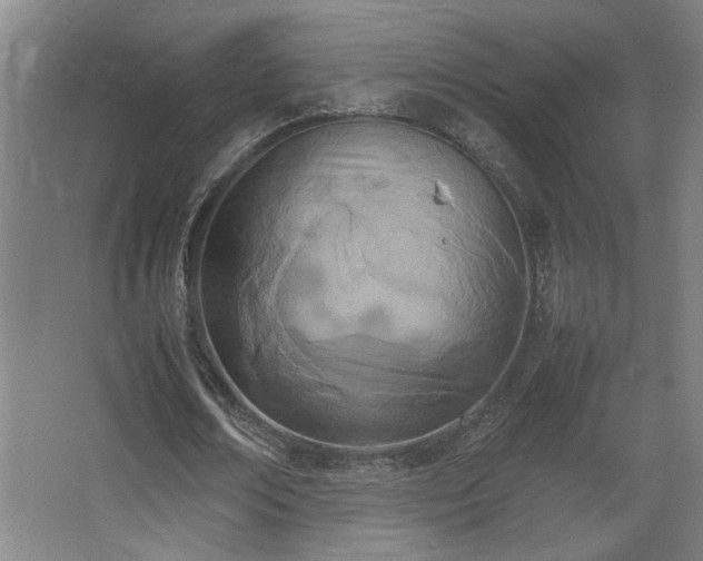 X0000067340674200603311127