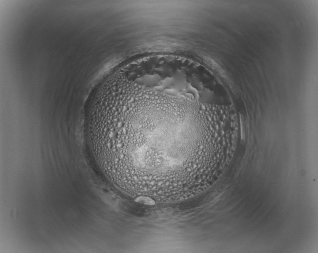 X0000067340675200603311127