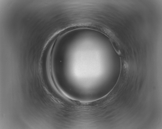 X0000067340676200603311127