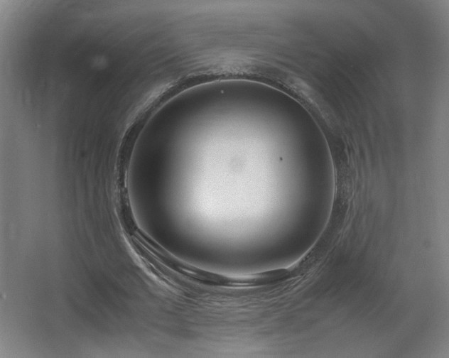 X0000067340677200603311127