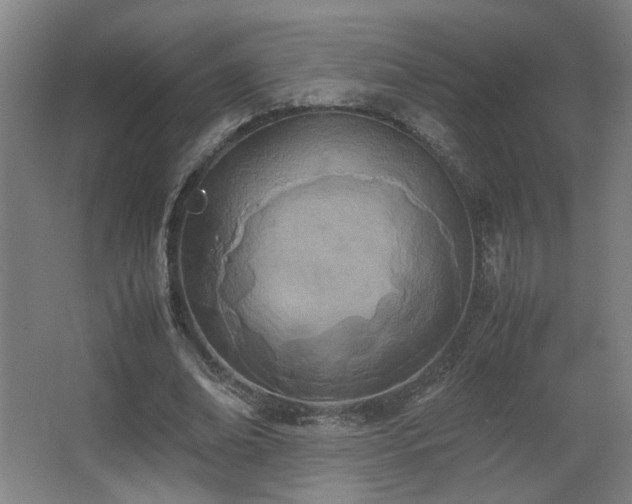 X0000067340678200603311127