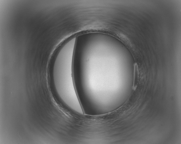 X0000067340680200603311127