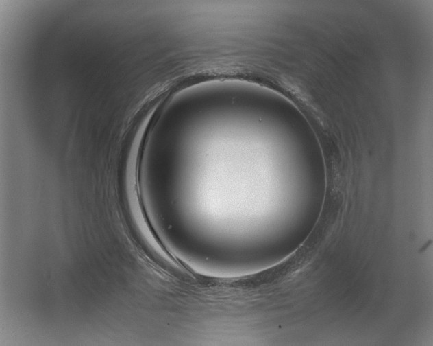 X0000067340681200603311127