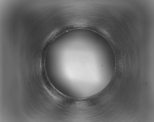 X0000067340686200603311126