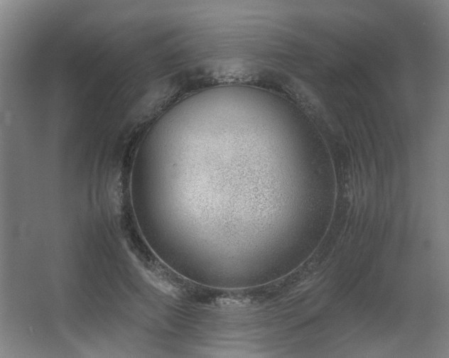 X0000067340690200603311126