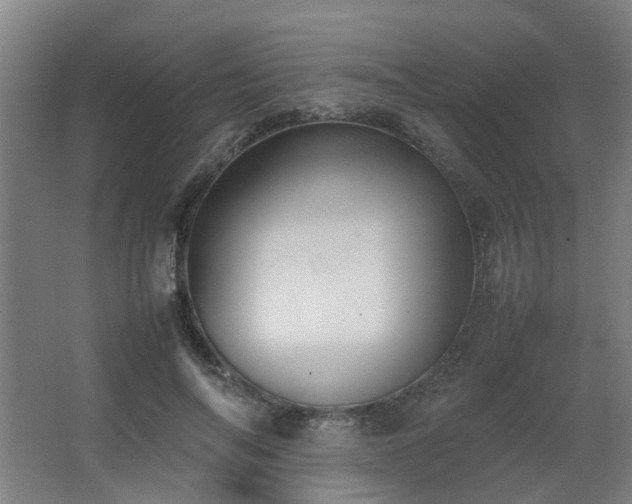 X0000067340694200603311126