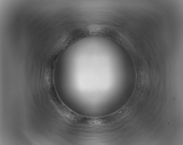 X0000067340698200603311126