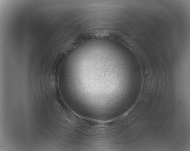 X0000067340704200603311126