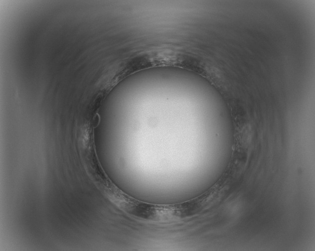 X0000067340709200603311126