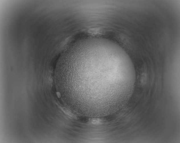 X0000067340710200603311126
