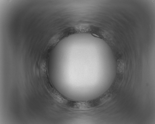 X0000067340713200603311126