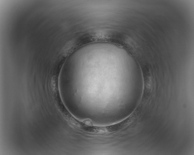 X0000067340715200603311126