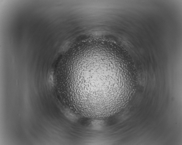 X0000067340718200603311126