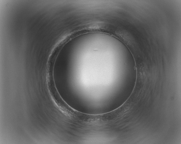 X0000067340728200603311125