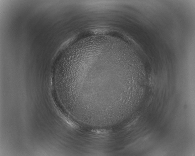 X0000067340733200603311125