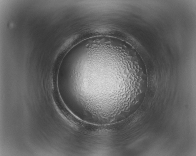 X0000067340734200603311125