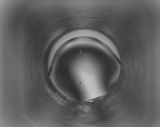 X0000067340735200603311125