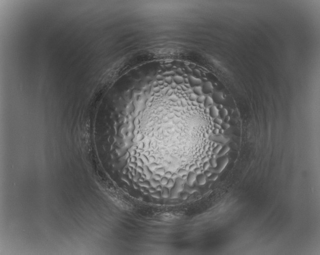 X0000067340737200603311125