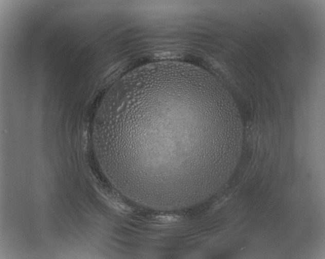X0000067340741200603311125