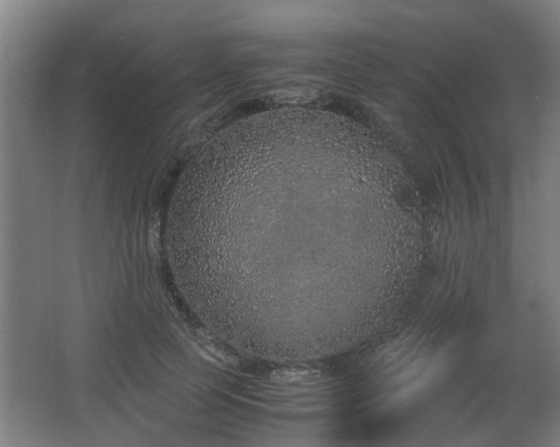 X0000067340745200603311126
