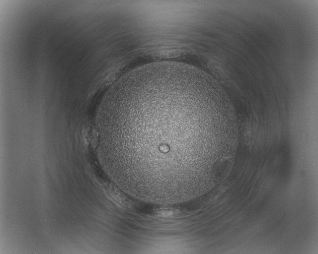 X0000067340746200603311126
