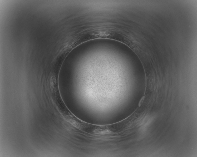 X0000067340747200603311126