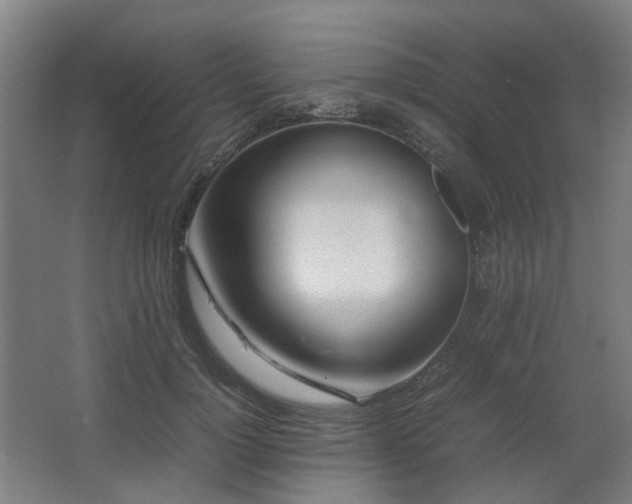 X0000067340748200603311126