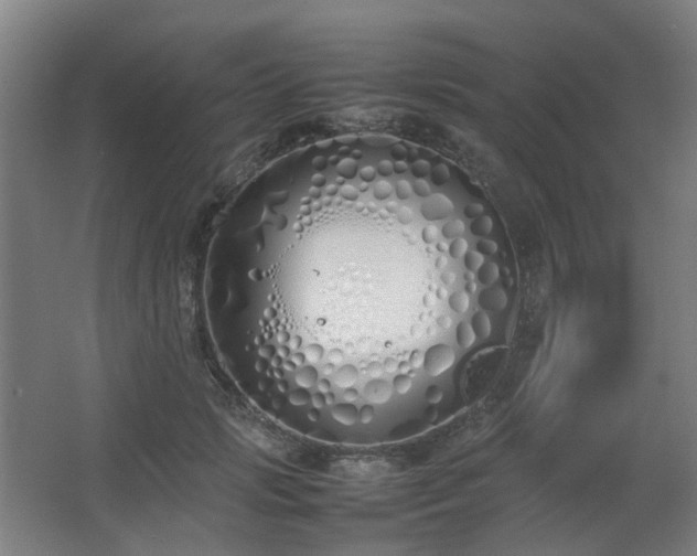 X0000067340749200603311126