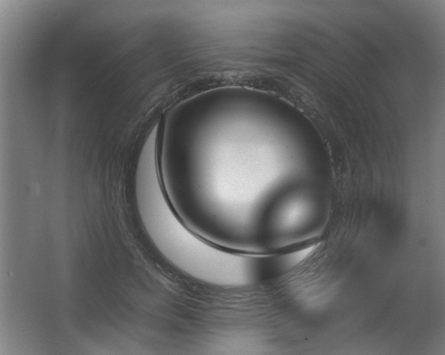 X0000067340750200603311126