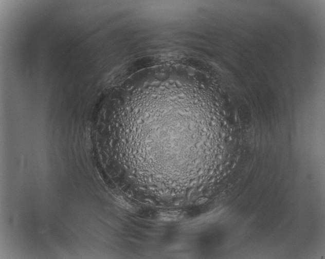 X0000067340757200603311126