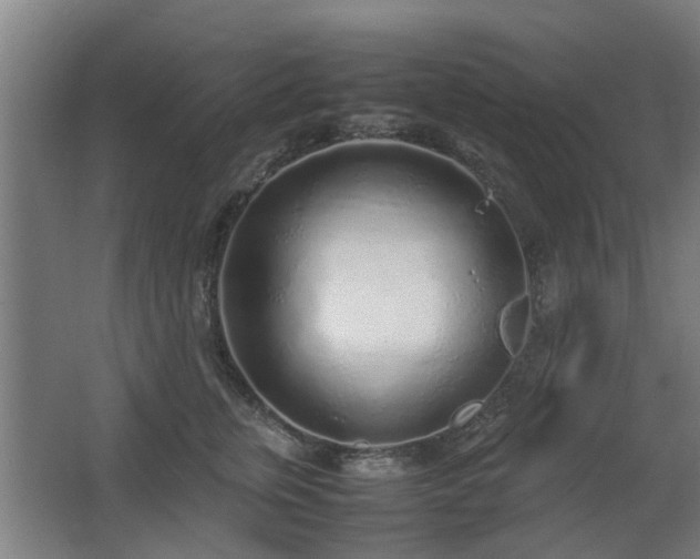 X0000067340759200603311126