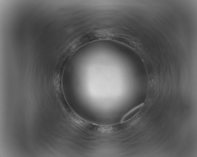 X0000067340767200603311126