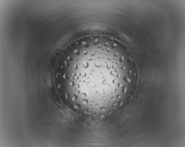 X0000067340774200603311125