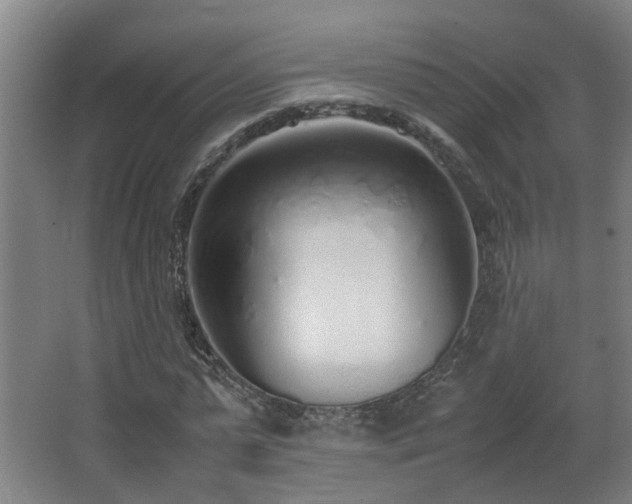 X0000067340775200603311125