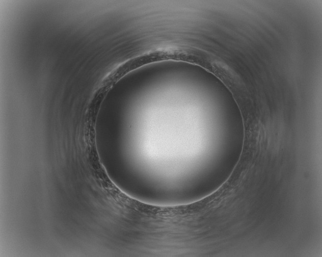 X0000067340776200603311125